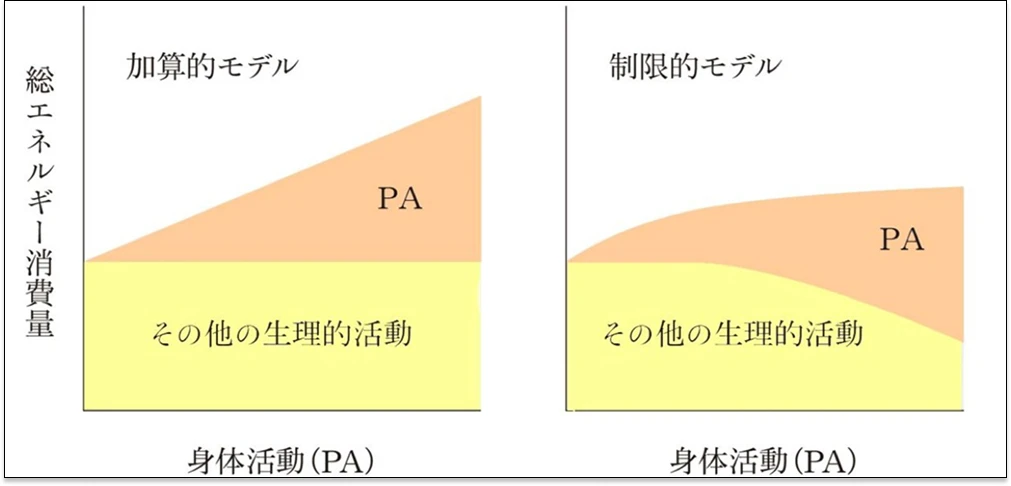 体の適応能力